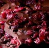 Chocolate Display2